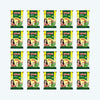 Mango Pickle - 50g (Pack of 40)